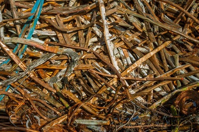GGR_REPORTAGE_SITE-6.jpg